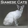 Siamese Cats 2008 Wall Calendar