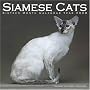 Siamese Cats 2008 Wall Calendar