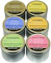TOP 6 Aromatherapy Candles- made with 100% pure essential oils- Vanilla Rose, Eucalyptus & Peppermint, Frankincense & Patchouli, Lavender, Lemongrass & Orange & Tangerine & Lavender- 144 hr. total burn time