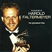 A Portrait of Harold Faltermeyer