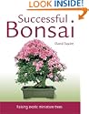 Successful Bonsai