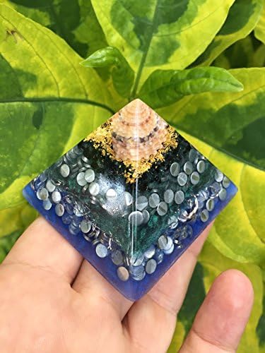 Tectarius shell with Gold and Tourmaline Mini Orgone Generator Pyramid