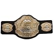 UFC Belt