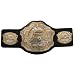 UFC Belt