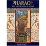 Pharaoh: Life and Afterlife of a God
