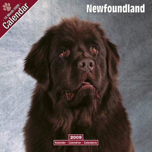 Kalender 2009 Neufundlaender - Newfoundland