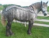 Nylon Webbing Draft Horse Fly Net - Fly Sheet