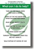 Conservation Is the Key to a Greener Future - Classroom Poster