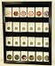 Collector NGC PCGS ICG Coin Slab Display Case Cabinet Holder Rack, Black
