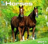 2011 Horses Calendar