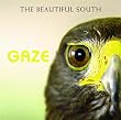 Gaze