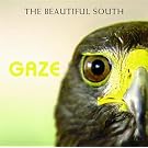 Gaze