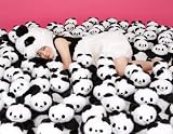[PANDA 1/2]�������ॺ�ѥ��Jr.�̤�����ߥѥڥåȡ�1/2��������