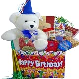 Happy Birthday Wishpets Teddy Bear Gourmet Food Gift Basket