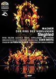 Richard Wagner: Siegfried (staged by La Fura dels Baus) - Zubin Mehta [2 DVDs] title=