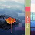Aerstream By Gary Guthrie (mp3 Download - May 11, 2010)