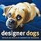 Wonderful Books about Dogs