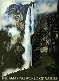 The Amazing World of Nature