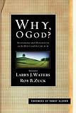 Why, O God?: Suffering and Disability in the Bible and the Church