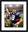 Peyton Manning Indianapolis Colts NFL Framed 8x10 Photograph 2006 AFC Championship Win