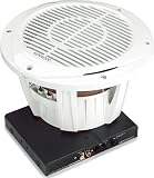 Kenwood P-WD250MRW 10-Inch Marine Subwoofer and Amplifier Package