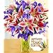 Joyful Bouquet