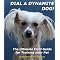 Dog Training help for my Foster Dog Emily