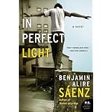 in perfect light a novel