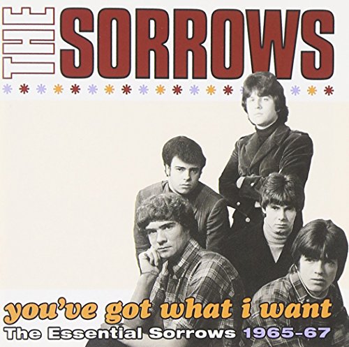 The Sorrows - Youve Got What I Want: Essential Sorrows 1965-67 - Zortam Music
