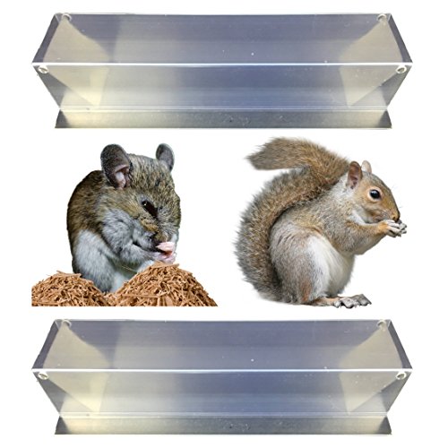 Live Multi Catch Mouse Trap Humane Easy Set No Kill Multiple Mice Chipmunk 2pk