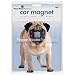 Pug Dog Die-Cut Car Magnet