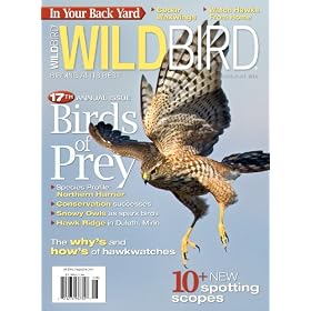 Wildbird (1-year)