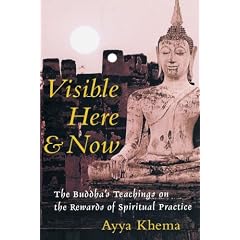 Visible Here and Now: The Buddha's Teachings on the Rewards of Spiritual Practice