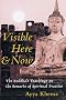 Visible Here and Now: The Buddha's Teachings on the Rewards of Spiritual Practice
