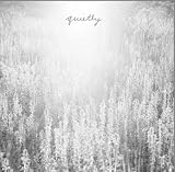 Quietly [VINYL]