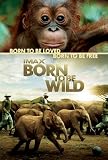 IMAX Born to Be Wild