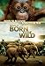 IMAX Born to Be Wild
