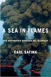 A Sea in Flames