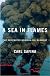 A Sea in Flames