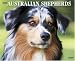 Just Australian Shepherds 2009 Wall Calendar