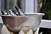 Edelstahl Sektschale Champagnerschale Champagnerkühler
