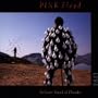 Delicate Sound of Thunder: Live