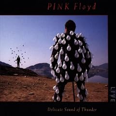 Delicate Sound of Thunder