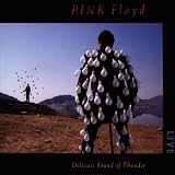 Delicate Sound Of Thunder (2 CD)