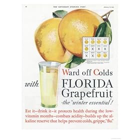 Florida Grapefruite poster