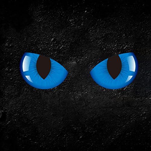 Ertch 2 pcs 3D Cat Eyes Simulation Reflective Decals Stickers Graphics Decor For Any Cars Vehicles Rearview Mirror Window Wall (blue)