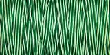 Natural Cotton Thread Variegated 876 Yards-Foliage Green