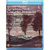 Mahler: Symphony No. 9 [Blu-ray] [2011] [Region Free]