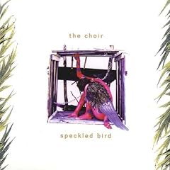 Speckled Bird