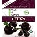 Made In Nature Organic Plums, Pitted, Dried and Unsulfured, 6-Ounce Bags (Pack of 6)